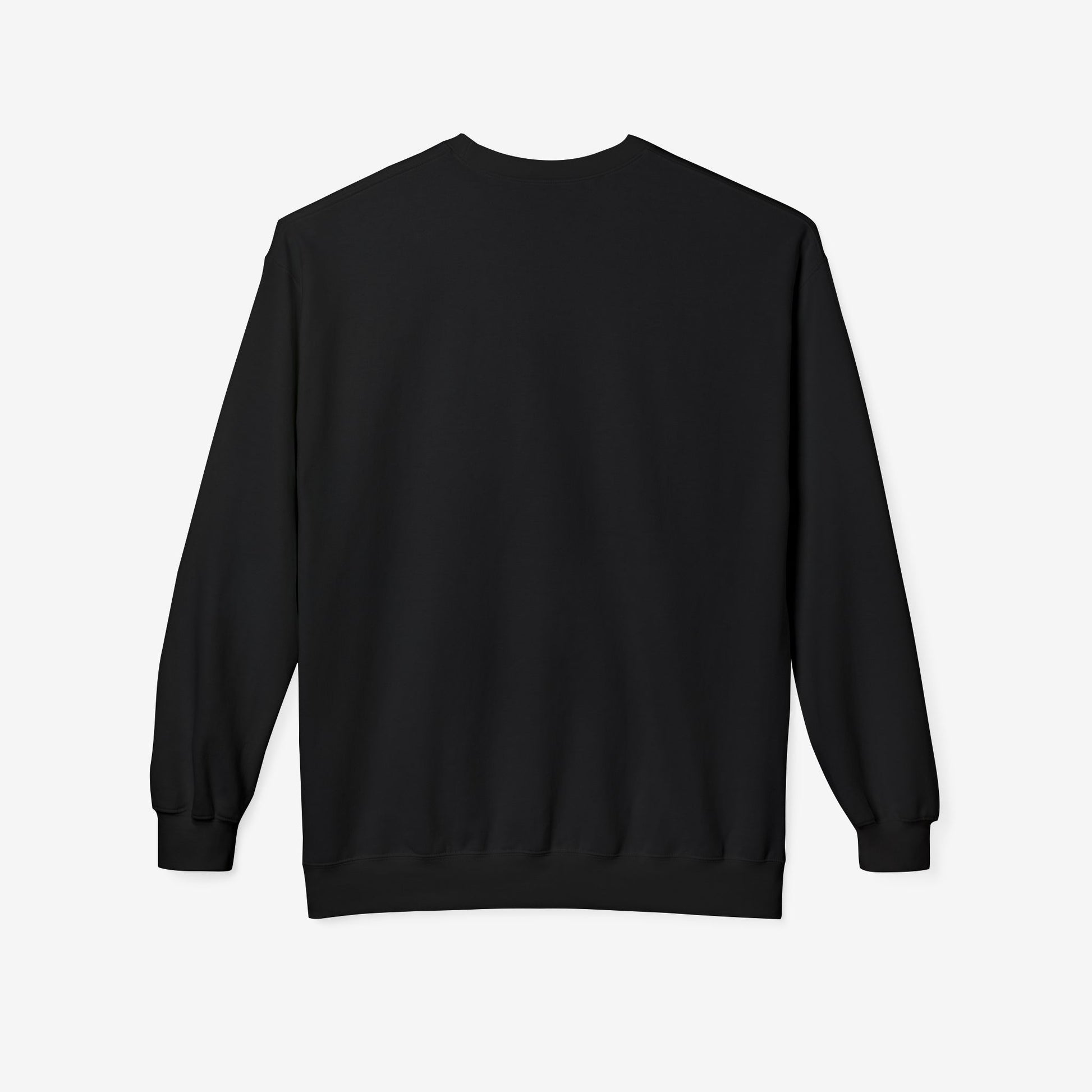 VELVENCIA crewneck sweatshirt 